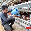 진일농장 이미지