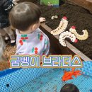 세븐일레븐 인천장수주공점 | 가족 나들이 인천 곤충 체험 인천 유아 이색 체험...브라더스 굼뱅이브라더스 주차 입장료 곤충체험 후기