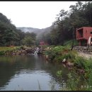 덕원관광농원 이미지