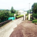 제주팜파스펜션 이미지