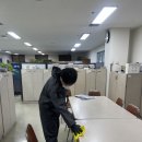 부산소독