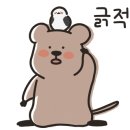 마마당 이미지