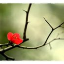 금강여관 이미지