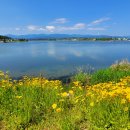 강릉 경포대, 경포호수 한 바퀴 산책길 - 일어나 이미지