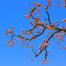 시골정취 이미지