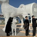 조도고등학교 이미지