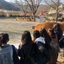 소소리농장 이미지