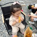 큰마당 오토캠핑장 | 논산 캠핑장 9월 캠핑하기 좋은 큰마당오토캠핑장