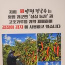 (주)이마트 여주점