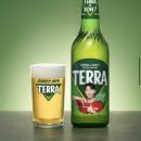 더테라(tHE Terra) | [하이트진로 서포터즈 HIFIVE 8기] | 테라 THE REAL 패키지 실물 영접! 손흥민이 쏘는 맥주 누구?