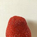 내사랑딸기 이미지