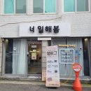 [너일해봄] 도봉구 강아지 스튜디오 컨셉사진 촬영후기
