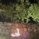 고반가옥 이미지