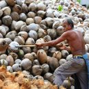 기민농장 이미지