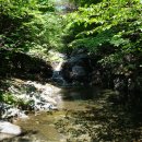 웅석봉초록길 이미지