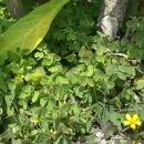 충남전세버스협동조합 이미지