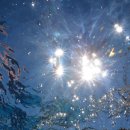 승현이네 이미지