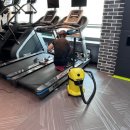 펠리스짐 이미지