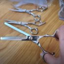 펫 인 | 딩동펫 반려동물 미용가위 세트 실제 사용 후기