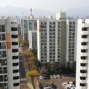 심심주택 이미지