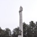 까망콩두부 이미지