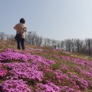 초안산 하늘꽃정원 이미지