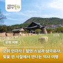 인각사 - 군위군 고로면 | [공지] 군위 인각사 | 일연 스님과 삼국유사, 벚꽃 핀 사찰에서 만나는 역사 여행