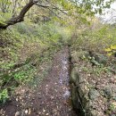 진설목장 이미지