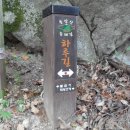 화접5리 이미지