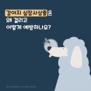 부곡동물병원 이미지