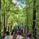 아이빛어린이집 이미지