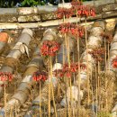 단산마을 이미지