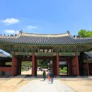 종로-연건-종로-연-473 | 종로구 창덕궁 - 창덕궁 선정전, 창덕궁 희정당