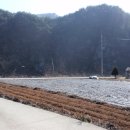 평창강펜션2 이미지