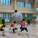 숲속초교 이미지