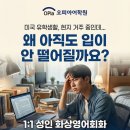 성인 화상영어회화 추천! 미국 유학생활 도움된 수업 후기