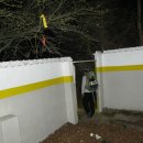 진양주유소 이미지