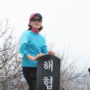 태촌 Daum카페