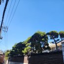 동대푸드 | 동대입구역, 스타벅스 장충라운지R점 후기