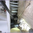 군산 누수&하수 이미지