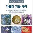 지안갤러리 이미지