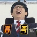 보니스 이미지