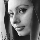 해바라기PC 이미지