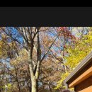 해여울어린이집 이미지