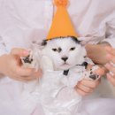 우리집 첫째 이미지