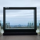 한라산생약