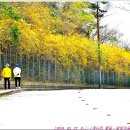 달맞이길 35 이미지