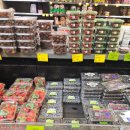 오브스퀘어 이미지