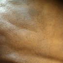 서울예사랑내과의원 이미지