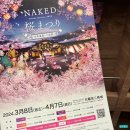 [일본 오사카] 오사카 신사이바시 가성비 호텔, 스마일 호텔 프리미엄 오사카 혼마치 숙박후기